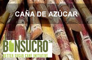 Desarrollo Sostenible de la Caña de Azúcar